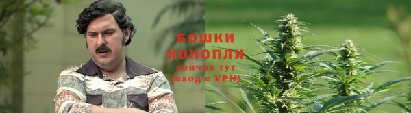 ПСИЛОЦИБИНОВЫЕ ГРИБЫ Алзамай